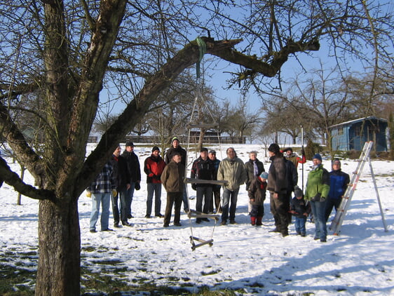 Anschaulich wird am Baum erklärt und gesägt