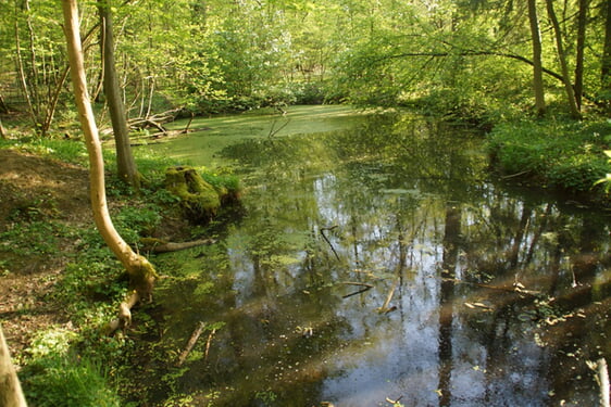 April 2018; wer weiß, wo das ist?