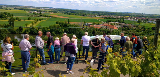 Die Aussicht auf die Weinberge und Neckar