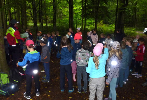 Mit dem Förster im Wald unterwegs
