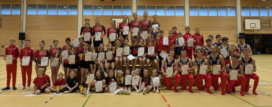 Alle Turnerinnen und Turner (Foto: TVI)