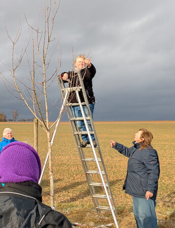 Bei Sonnenschein, unter Anleitung