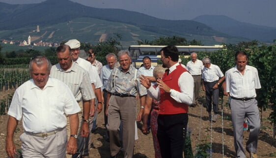 1993 Weinbergbegehung Ingersheim/Elsa&szlig;