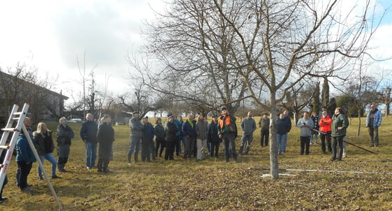 Alle Blicke sind zum Baum gerichtet