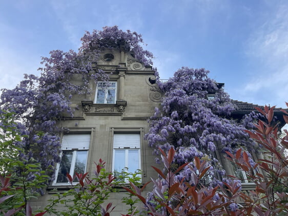 Energetische Sanierungen sind trotz Denkmalschutz machbar und sinnvoll