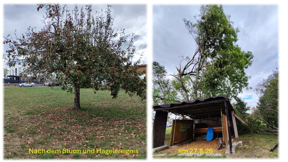 Nach dem Sturm- und Hagelereignis am 27.8.26