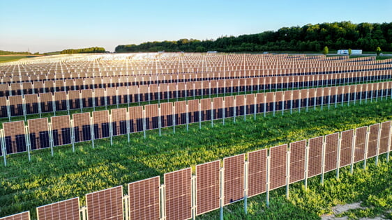 Bild: BEG Kraichgau | Breit aufgeständerte Agri-PV-Module vereinen die Stromproduktion mit dem maschinellen Getreideanbau