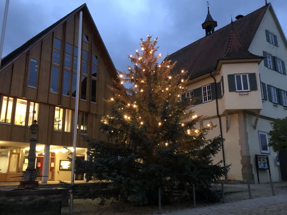 Weihnachtsbaum vor Rathaus_2019