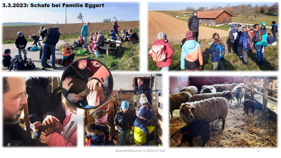 3.3.2023: Schafe bei Familie Eggert