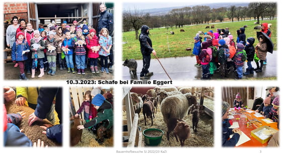10.3.2023: Schafe bei Familie Eggert