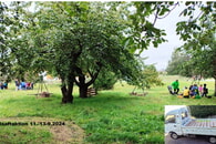 09.2024: Saftaktion / Kartoffelernte / Treff