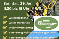Einladung zum Ingersheimer SteillagenTag
