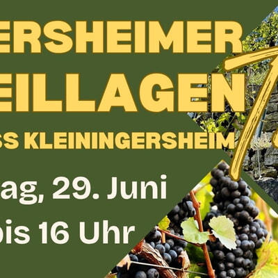 Ingersheimer Steillagentag 