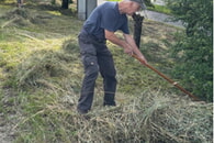 Stücklespflege durch die NABU Ortsgruppe Hessigheim