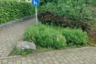 Helfende Hände gesucht! Möchten Sie eine Beetpatenschaft übernehmen?