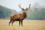 Naturtipp September
