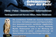 Einladung zum Vortrag "Eulen - Geheimnisvolle Jäger der Nacht"