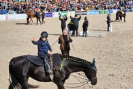Hengstparade