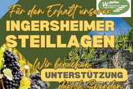 Neue Homepage und Spendenaufruf