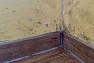 So verursachen W&auml;rmebr&uuml;cken Schimmel