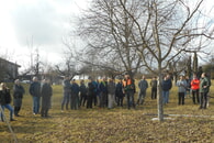 Obstbaumwinterschnitt 2026