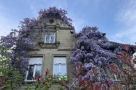 Fassadend&auml;mmung bei Denkmalschutz