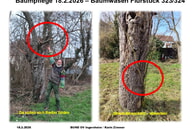 03.2026: Erhaltungsschnitt im Baumwasen