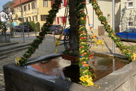 Freie W&auml;hler Aktuell