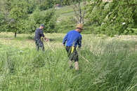 Bericht zum Sensen- & Dengelkurs des NABU Hessigheim 