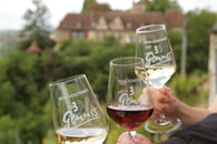 3B-WEIN-H&Ouml;HEPUNKTE - Genusswandern im 3B-Land am 09.08.2026 - 15 Kilometer voller Wein, Kulinarik und Erlebnis in und um Bietigheim-Bissingen, Ingersheim und Besigheim !!!