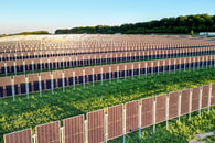 Agri-PV: Exkursion f&uuml;r Landwirtinnen und Landwirte