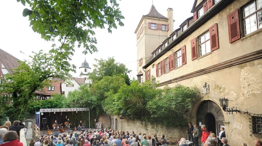 Kultur im Schloss
