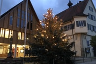 Weihnachtsbäume gesucht!