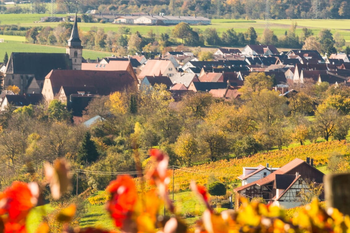 Ingersheim im Herbst