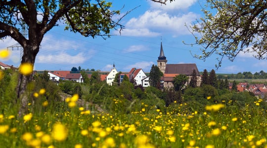 Vereine und Organisationen