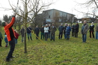 Obstbaumwinterschnitt 2023