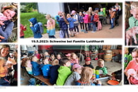 06.2023: Bauernhofbesuche (3) - SCHWEINE