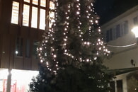 Weihnachtsbaum