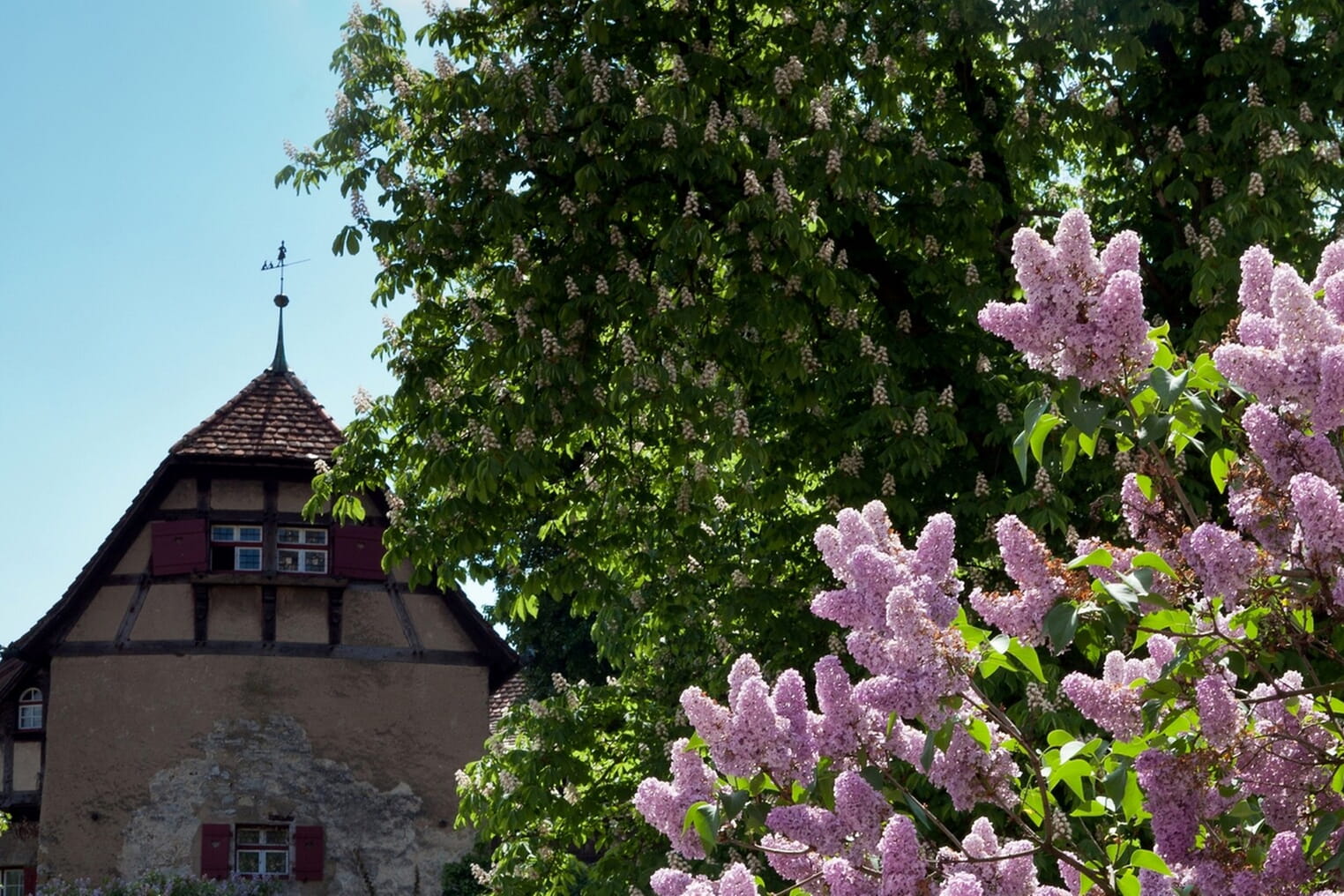 Ingersheim ist Groß und Klein