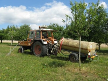 Obstbäume gießen 